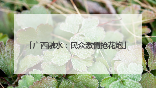 广西融水：民众激情抢花炮