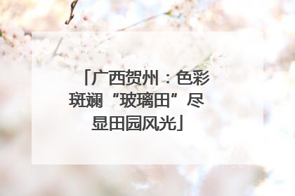 广西贺州：色彩斑斓“玻璃田”尽显田园风光