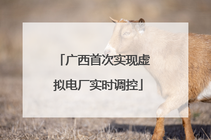 广西首次实现虚拟电厂实时调控