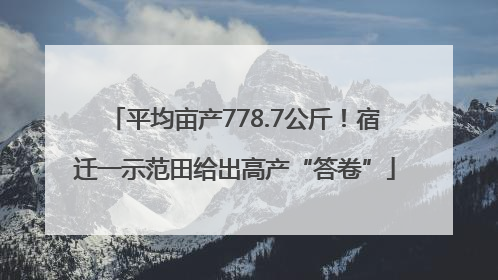 平均亩产778.7公斤！宿迁一示范田给出高产“答卷”