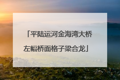 平陆运河金海湾大桥左幅桥面格子梁合龙