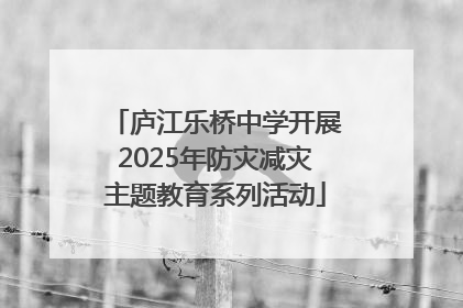 庐江乐桥中学开展2025年防灾减灾主题教育系列活动