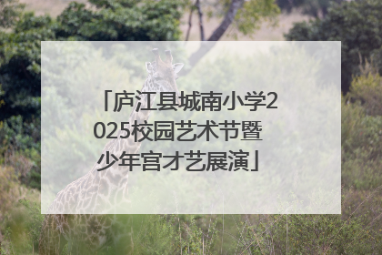 庐江县城南小学2025校园艺术节暨少年宫才艺展演