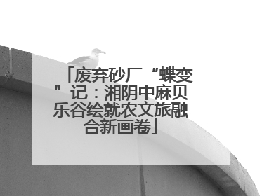 废弃砂厂“蝶变”记：湘阴中麻贝乐谷绘就农文旅融合新画卷