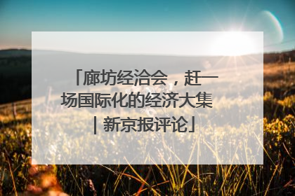 廊坊经洽会，赶一场国际化的经济大集｜新京报评论