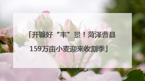 开镰好“丰”景！菏泽曹县159万亩小麦迎来收割季