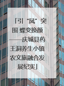 引“凤”突围 蝶变换颜——庆城县药王洞养生小镇农文旅融合发展纪实