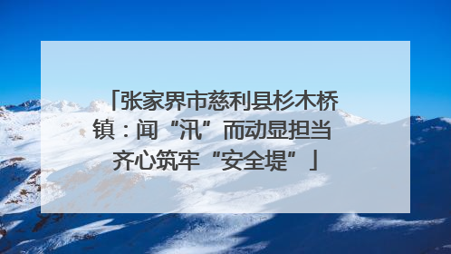 张家界市慈利县杉木桥镇：闻“汛”而动显担当 齐心筑牢“安全堤”