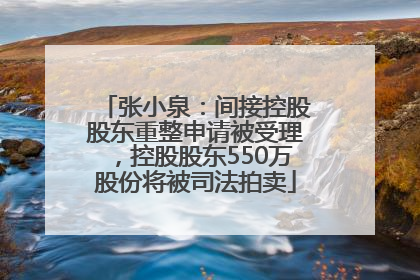 张小泉：间接控股股东重整申请被受理，控股股东550万股份将被司法拍卖