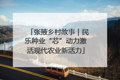 张掖乡村故事｜民乐种业“芯”动力激活现代农业新活力
