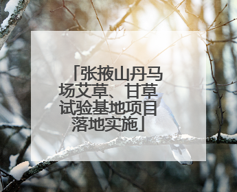 张掖山丹马场艾草、甘草试验基地项目落地实施