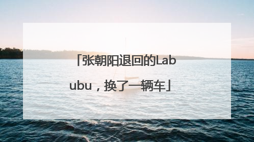 张朝阳退回的Labubu，换了一辆车