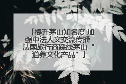 提升茅山知名度 加强中法人文交流传播 法国旅行商踩线茅山“道养文化产品”