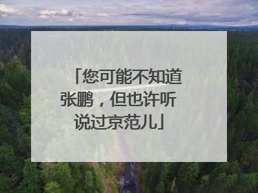 您可能不知道张鹏，但也许听说过京范儿