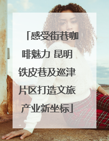 感受街巷咖啡魅力 昆明铁皮巷及巡津片区打造文旅产业新坐标