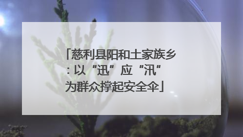 慈利县阳和土家族乡：以“迅”应“汛” 为群众撑起安全伞