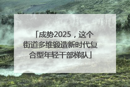 成势2025，这个街道多维锻造新时代复合型年轻干部梯队