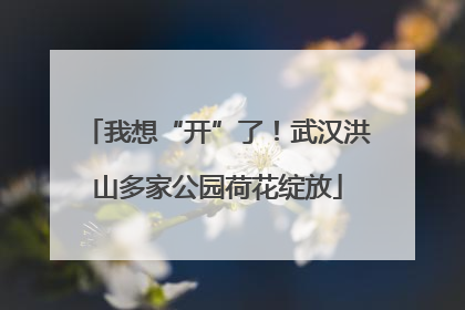 我想“开”了！武汉洪山多家公园荷花绽放