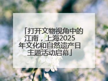 打开文物视角中的江南，上海2025年文化和自然遗产日主题活动启幕