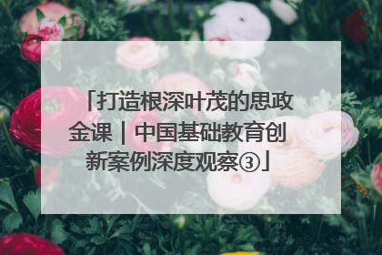 打造根深叶茂的思政金课｜中国基础教育创新案例深度观察③