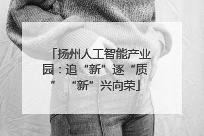 扬州人工智能产业园：追“新”逐“质” “新”兴向荣