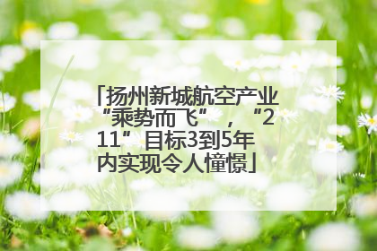 扬州新城航空产业“乘势而飞”，“211”目标3到5年内实现令人憧憬