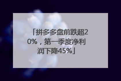 拼多多盘前跌超20%，第一季度净利润下降45%