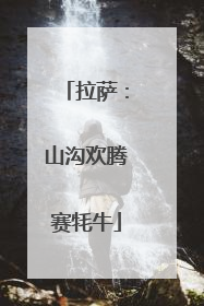 拉萨：山沟欢腾赛牦牛