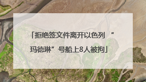拒绝签文件离开以色列 “玛德琳”号船上8人被拘