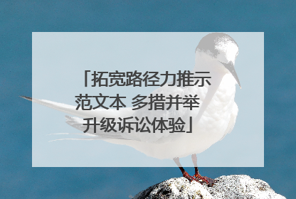 拓宽路径力推示范文本 多措并举升级诉讼体验