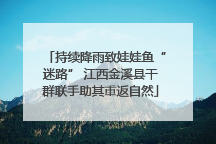 持续降雨致娃娃鱼“迷路” 江西金溪县干群联手助其重返自然
