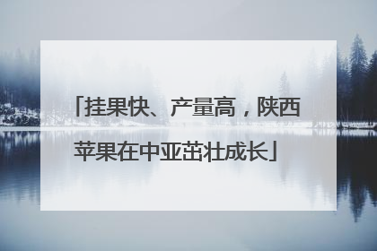 挂果快、产量高，陕西苹果在中亚茁壮成长