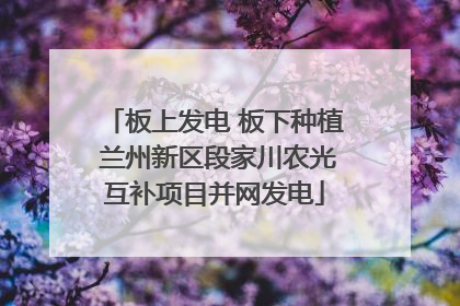 板上发电 板下种植 兰州新区段家川农光互补项目并网发电