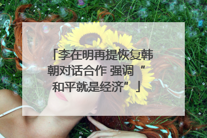 李在明再提恢复韩朝对话合作 强调“和平就是经济”