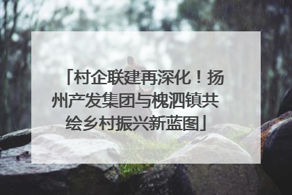 村企联建再深化！扬州产发集团与槐泗镇共绘乡村振兴新蓝图