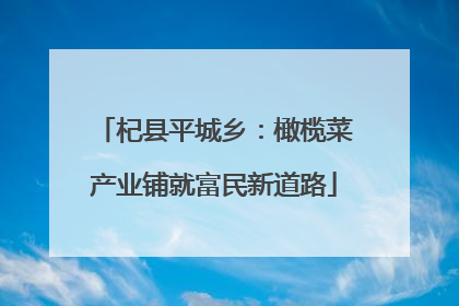 杞县平城乡：橄榄菜产业铺就富民新道路