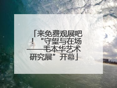 来免费观展吧！“守望与在场——毛本华艺术研究展”开幕