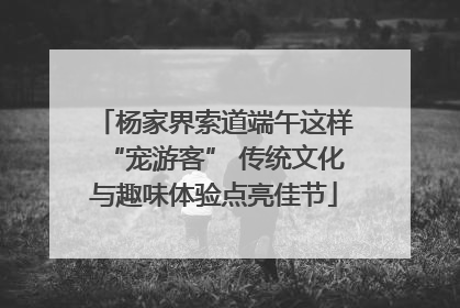 杨家界索道端午这样“宠游客” 传统文化与趣味体验点亮佳节