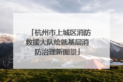 杭州市上城区消防救援大队绘就基层消防治理新图景