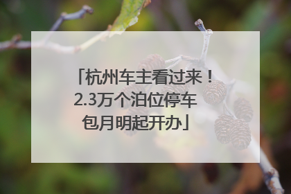 杭州车主看过来！2.3万个泊位停车包月明起开办