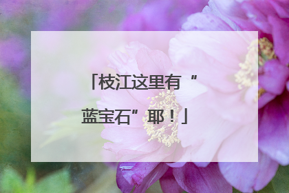 枝江这里有“蓝宝石”耶！