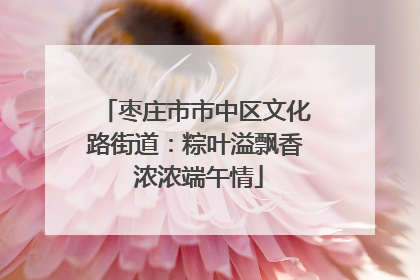 枣庄市市中区文化路街道：粽叶溢飘香 浓浓端午情