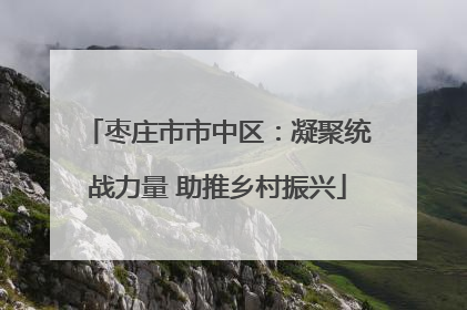 枣庄市市中区：凝聚统战力量 助推乡村振兴