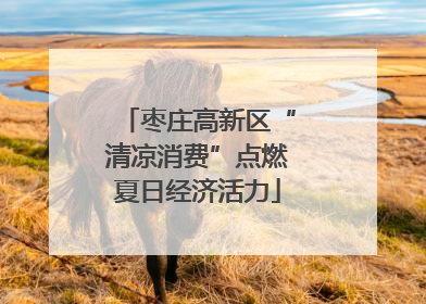 枣庄高新区“清凉消费”点燃夏日经济活力