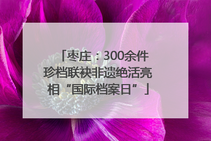 枣庄：300余件珍档联袂非遗绝活亮相“国际档案日”