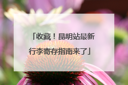 收藏！昆明站最新行李寄存指南来了