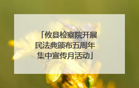 攸县检察院开展民法典颁布五周年集中宣传月活动