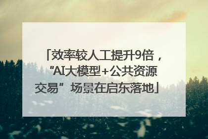 效率较人工提升9倍，“AI大模型+公共资源交易”场景在启东落地