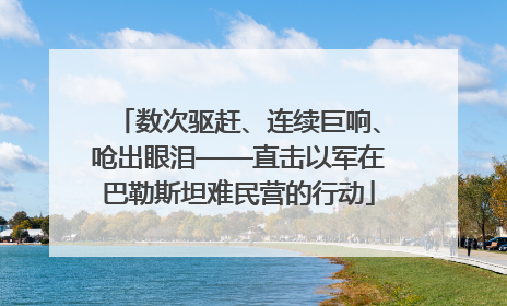 数次驱赶、连续巨响、呛出眼泪——直击以军在巴勒斯坦难民营的行动