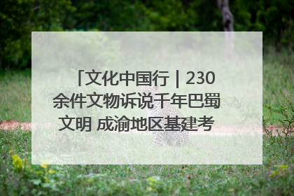 文化中国行｜230余件文物诉说千年巴蜀文明 成渝地区基建考古成果展开展